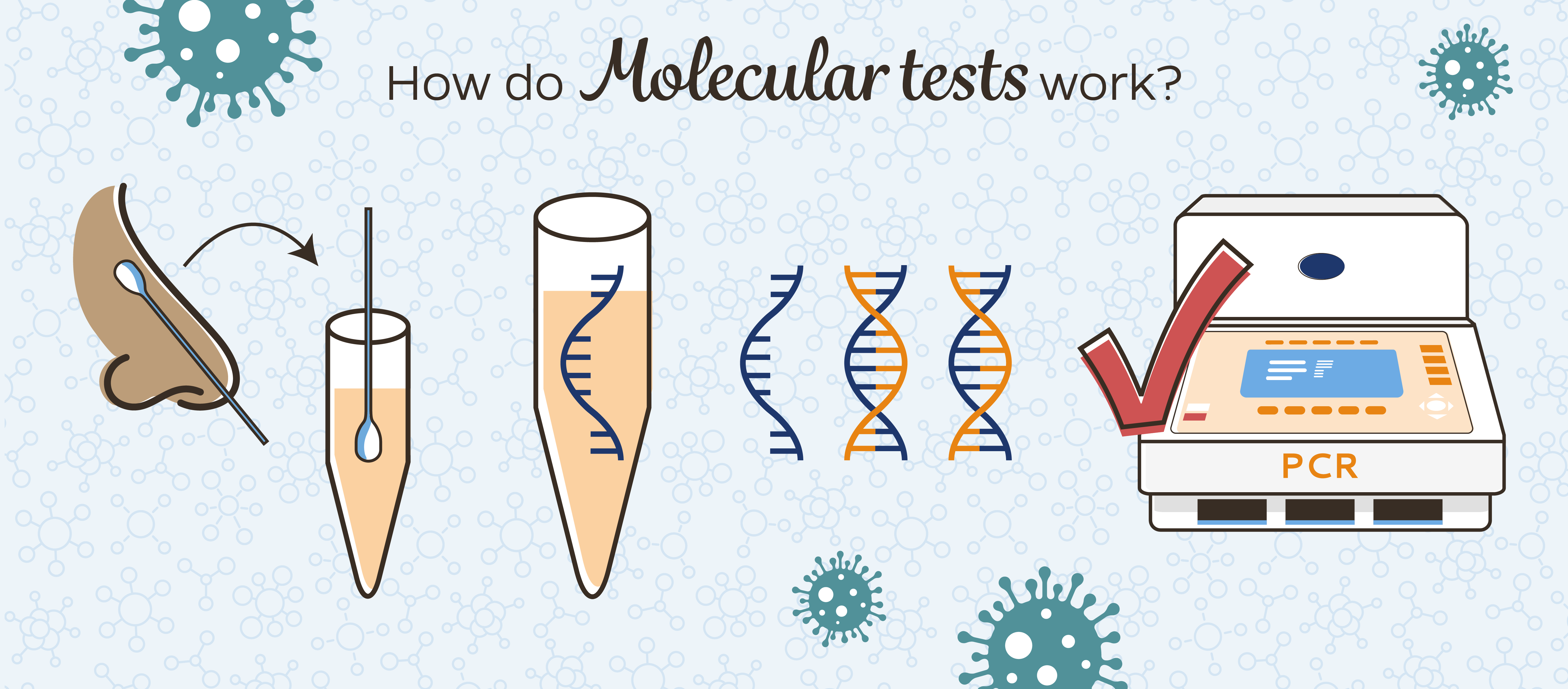 What Is Molecular Equation In Chemistry