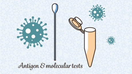Antigen and molecular tests Antigen and molecular tests