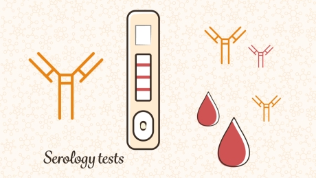 Serology tests Serology tests